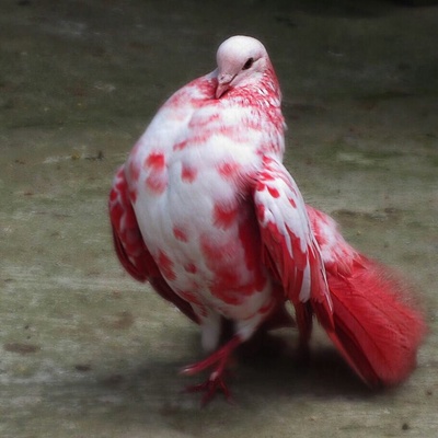 Даниил Клюшкин
