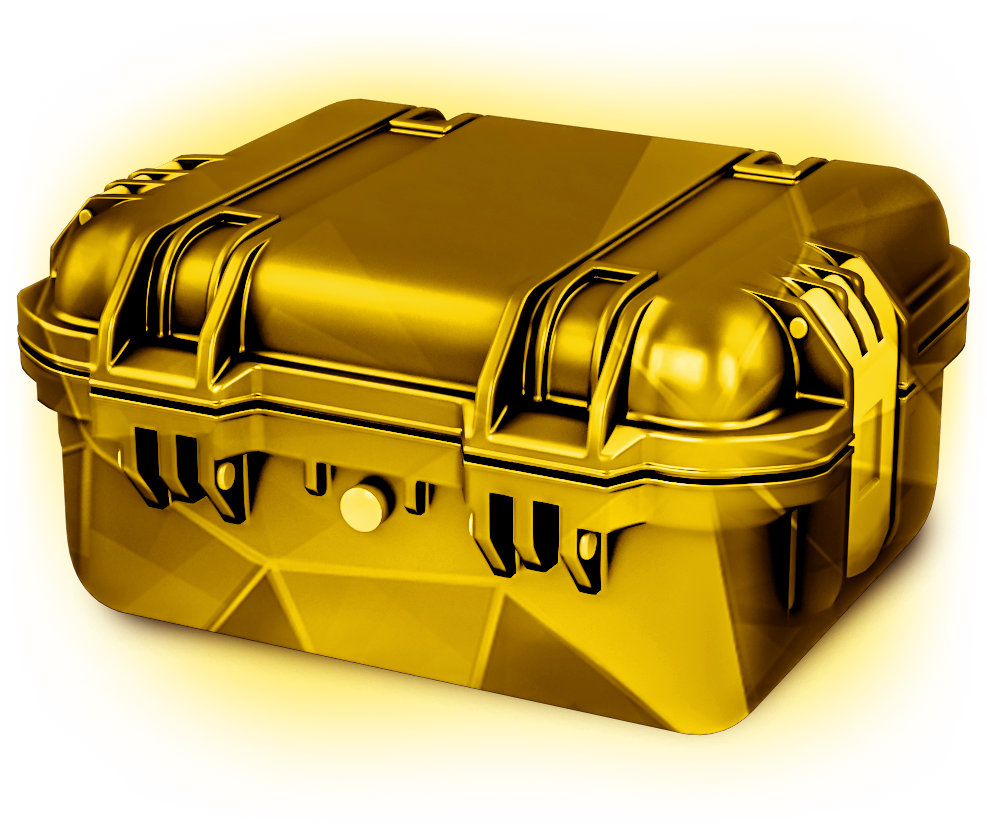 Золотой кейс. Золотой чемодан. Золотой чемоданчик. Открытый кейс. Открывать золотой кейс
